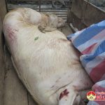 Thời sự truyền hình ngày 5 tháng 8 năm 2016