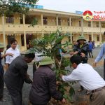 Xã Mỹ Sơn tổ chức trồng cây tại trường mầm non và Trạm y tế