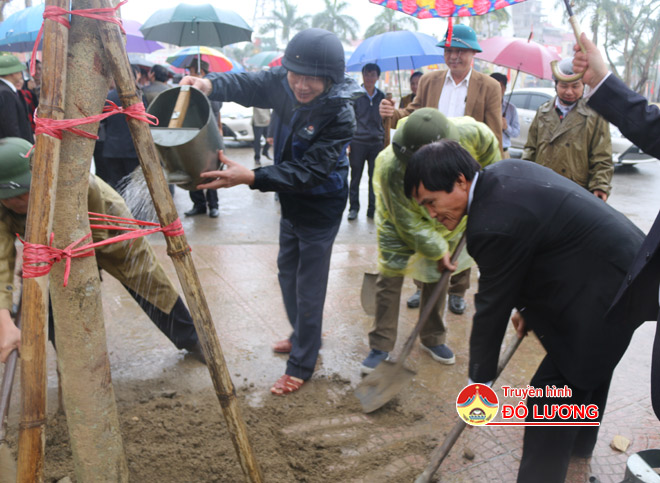 phat-dong-trong-cay5