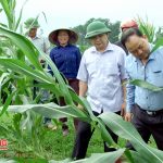 Đồng chí Nguyễn Trung Thành kiểm tra tình hình thiệt hại do lốc xoáy