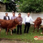 Đô Lương phát động ủng hộ quỹ vì người nghèo.