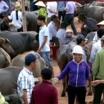 Độc đáo chợ Ú Đại Sơn huyện Đô Lương