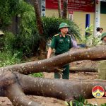 Đồng chí Trương Hồng Phúc – Tỉnh uỷ viên – Bí thư huyện uỷ kiểm tra chỉ đạo công tác khắc phục cơn bão số 2