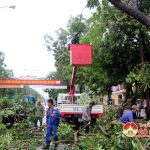 Đô Lương chặt tỉa cây xanh đối phó với bão số 4