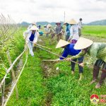 Xã Lưu Sơn ra quân làm giao thông thuỷ lợi