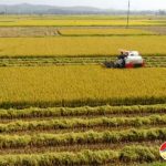 Đô Lương đẩy mạnh đưa cơ giới hóa vào sản xuất nông nghiệp