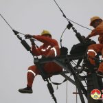 Điện lực Đô Lương Đảm bảo an toàn lưới điện trong dịp tết
