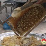 Thu nhập cao nghề nuôi ong mật.