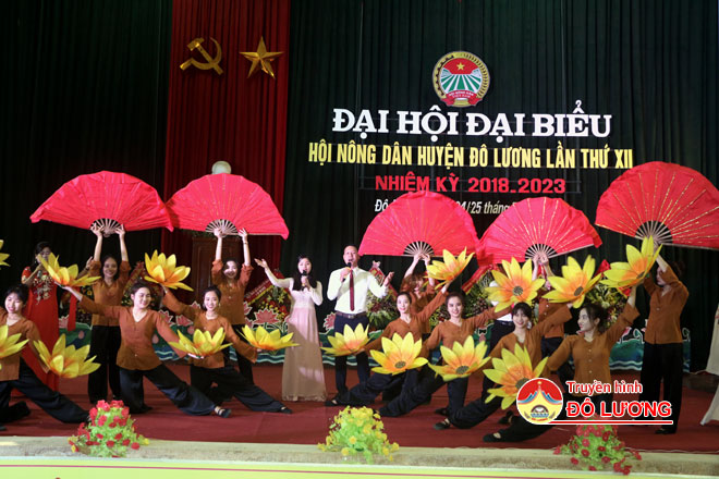 NONG-DAN1