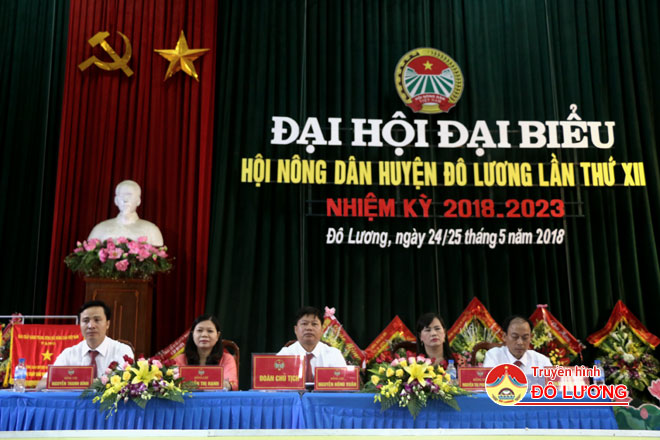 NONG-DAN4