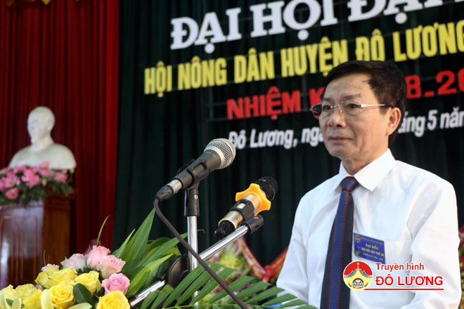 NONG-DAN6