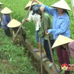 Hội nông dân Bồi Sơn ra quân nạo vét kênh mương thủy lợi