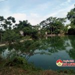 Minh Sơn: Nuôi vịt trong khu dân cư gây ô nhiễm môi trường