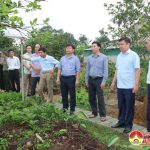 Hội Nông dân huyện Đô Lương tổ chức tham quan mô hình xây dựng nông thôn mới kiểu mẫu tại huyện Can Lộc- Hà Tĩnh.