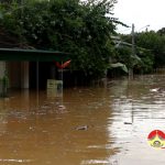 110 nhà dân khối 1 Thị trấn  Đô Lương bị ngập sâu trong nước