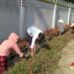 Trung Sơn xây dựng nông thôn mới gắn với môi trường xanh – sạch – đẹp