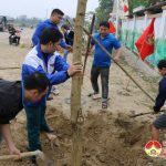 Huyện Đoàn Đô Lương trồng 30 cây hoa ban dọc Quốc lộ 7