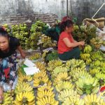 Đô Lương: Thị trường hoa quả phong phú phục vụ Rằm tháng giêng