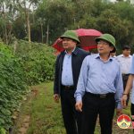 Đồng chí Đinh Viết Hồng kiểm tra tình hình sản xuất tại Đô Lương