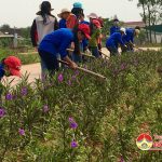 Đoàn thanh niên  Đô Lương ra quân tháng Thanh niên