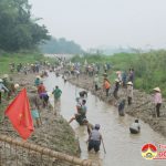 Trung Sơn Đô Lương: Tích cực chống hạn cho lúa xuân năm 2019