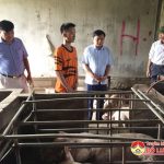 Đồng chí Nguyễn Trung Thành kiểm tra công tác phòng chống dịch tả lợn Châu Phi
