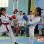 Đô Lương khai mạc giải Karatedo mở rộng lần thứ nhất năm 2019