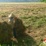 Lao động nữ mưu sinh ngày nắng nóng