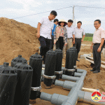 Xã Thuận Sơn (Đô Lương) triển khai dự án liên kết trồng chuối.