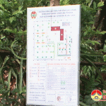 Hiệu quả mô hình “vườn Nông thôn mới kiểu mẫu” ở Đô Lương sau 2 năm triển khai