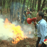 Xã Bài Sơn diễn tập chiến đấu phòng thủ năm 2019