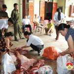 Đô Lương phát hiện trên 250 kg thịt lợn không rõ nguồn gốc