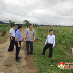 Sở NN&PTNT tỉnh kiểm tra công tác sản xuất vụ đông và phòng chống dịch tả lợn châu Phi ở Đô Lương