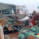 Đô Lương xảy ra vụ tai nạn giao thông nghiêm trọng trên đường N5