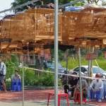 Đô Lương tổ chức hội thi tiếng hót chim Chào mào