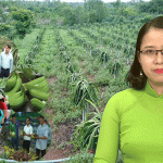 Đô Lương xây dựng khâu đột phá trong sản xuất nông nghiệp nông nghệ cao và mỗi xã 1 sản phẩm