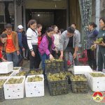 Đô Lương ủng hộ nhân dân miền Trung 440 triệu đồng và hàng chục tấn hàng hóa.