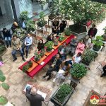 Hội sinh vật cảnh Thị Trấn Đô Lương tổ chức “Hội quán Bonsai” chào mừng năm mới 2021