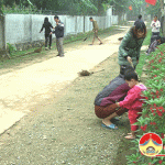 Chương trình hôm nay gồm những nội dung sau: