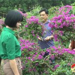     Đô LươngNhiều hộ dân chuẩn bị hoa phục vụ Tết nguyên đán 2021
