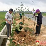 Xã Xuân Sơn tổ chức trồng cây đầu xuân Tân Sửu 2021