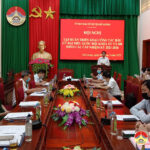 HĐND huyện Đô Lương tập huấn trực tuyến công tác bầu cử Quốc hội, HĐND các cấp