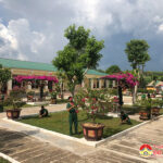 Tiểu đoàn 1, Trung đoàn 1,Sư đoàn 324 xây dựng cảnh quan, môi trường xanh, sạch, đẹp