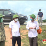 Đồng chí Trần Văn Hiến – Phó chủ tịch UBND huyện Đô Lương đã đi kiểm tra tình hình tổ chức thu hoạch lúa hè thu trên địa bàn huyện