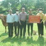 UBMT TQ huyện Đô Lương trao tặng 55 con bò giống sinh sản cho hộ nghèo, hộ cận nghèo