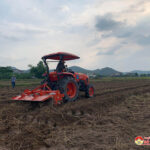 Đô Lương Trù Sơn triển khai sản xuất vụ Đông