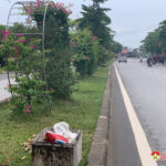 Đường hoa xã Yên Sơn bị xả rác bừa bãi gây mất mỹ quan đô thị