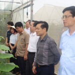 Hội đồng thẩm định, xét công nhận xã Văn Sơn đạt chuẩn NTM nâng cao năm 2023