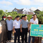Đô Lương Hội nghị truyền thông “Tuyên truyền, vận động nông dân xử lý rác thải tại Việt Nam”.