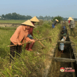 Xã Thuận Sơn ra quân làm giao thông thủy lợi nội đồng